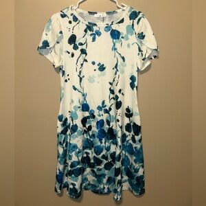 Floral Blue and White Dress